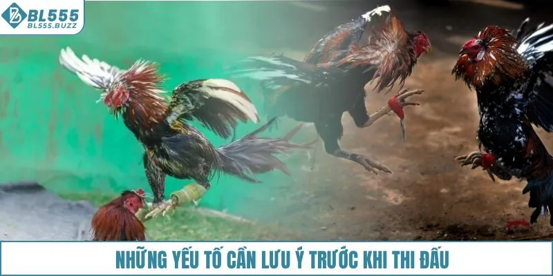 Những yếu tố cần lưu ý trước khi thi đấu