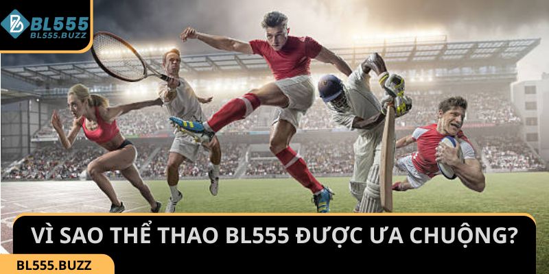 Tìm hiểu lý do sao sảnh thể thao BL555 luôn được ưa chuộng